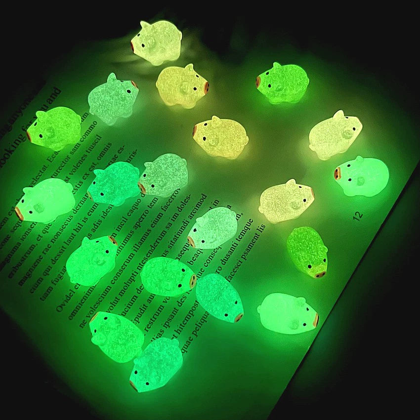 D-27 Luminous Piggy