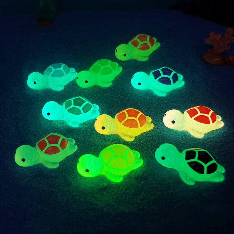 D-23 Luminous Turtle