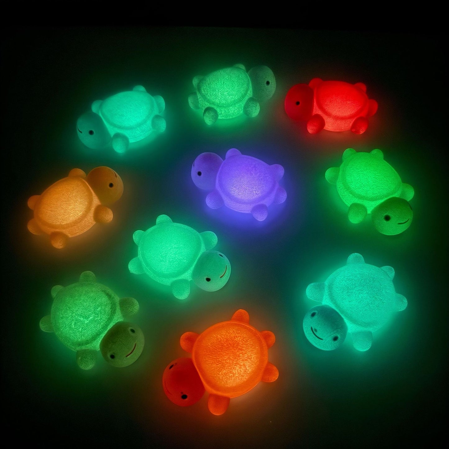 C-37 Luminous Fluffy Turtle